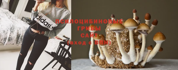 шишки Балахна