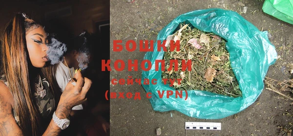 прущие грибы Баксан