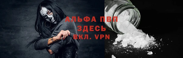 молекула духа Тайга