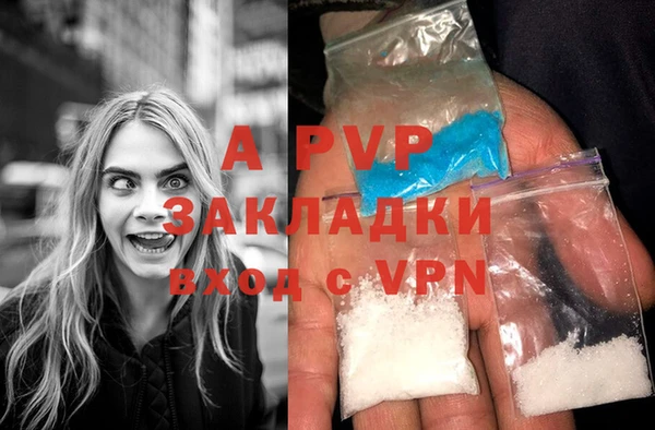 сатива Тавда