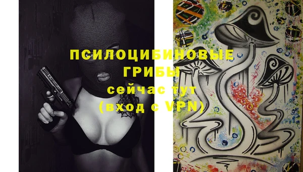мдма Богородск