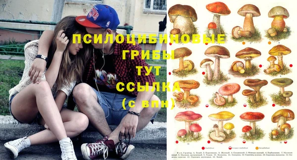 шишки Балахна
