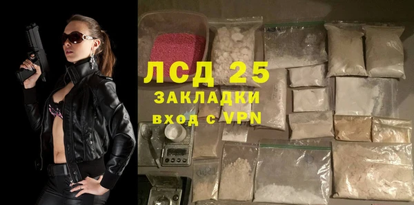 прущие грибы Баксан