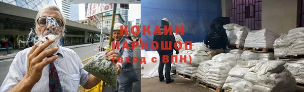 прущие грибы Баксан