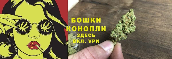 шишки Балахна