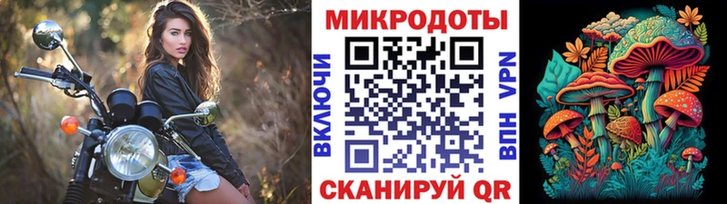 Галлюциногенные грибы ЛСД  Белокуриха 